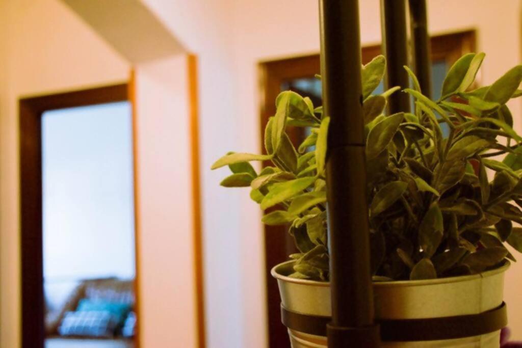 Ferienwohnung Conide, El Mirador Oviédo Zimmer foto